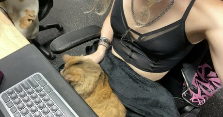 brycesgfalice free star archive