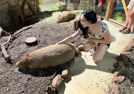 shemale pov onlyfans art porn image