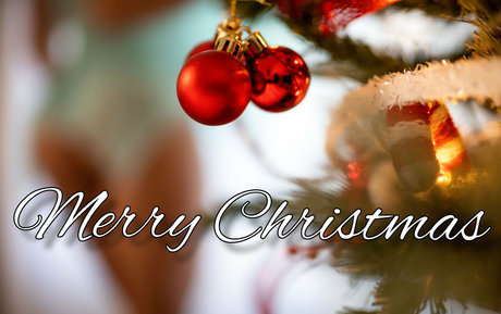 yogiibutt2 high quality pornstar pics