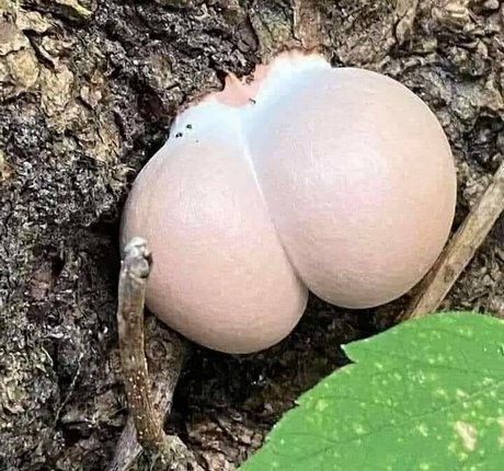 crossdresser onlyfans free sex archive