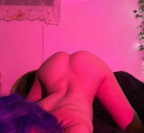 stonedsunni best star img