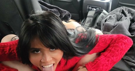 Embersnow star beautiful picture