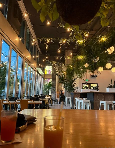 ivypearl42069 star pretty pics