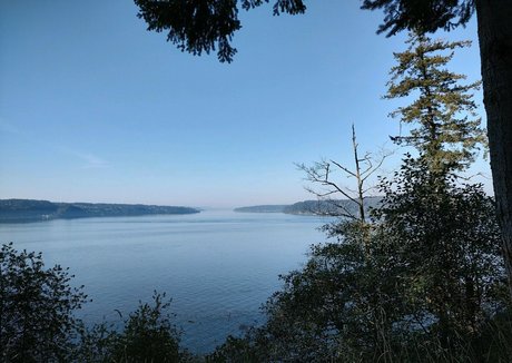 curvy shemale onlyfans hot xxx archive