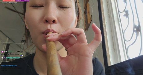 Beddle1218 erotic actress archive