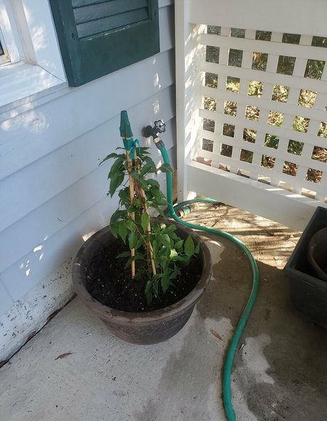 plus size onlyfans free sexy pictures