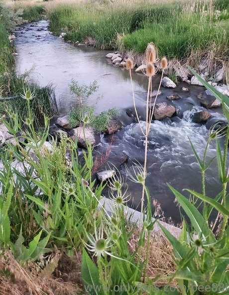 asian blowjob onlyfans exclusive galleries