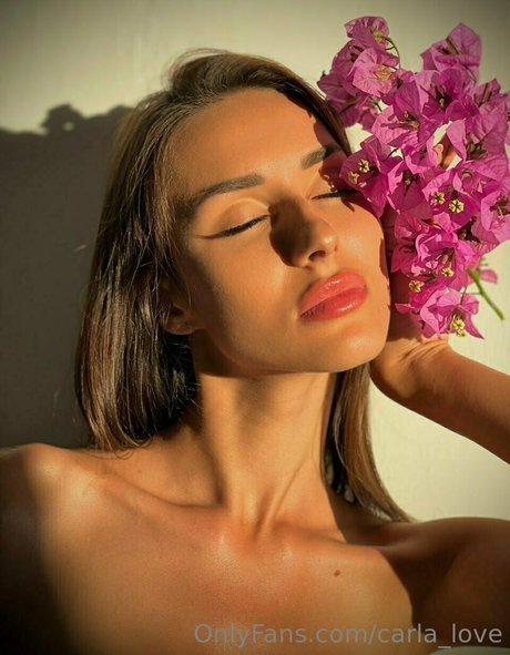 carla love star sex pics