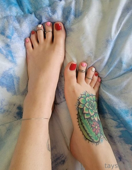 taystoes erotic pornstar photo