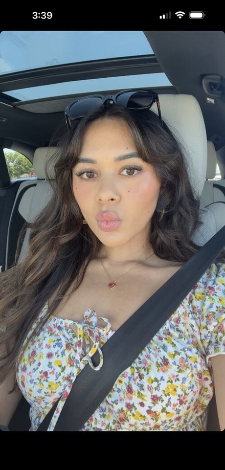 Chellchee perfect model archive