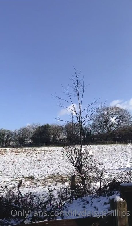 lilydaisyphillips star high quality gallery