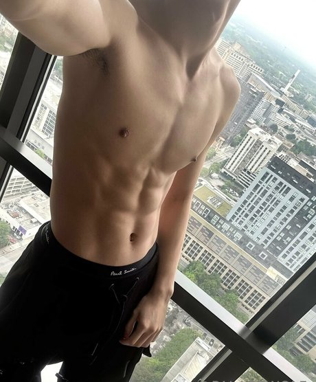 palacewolf free star galleries