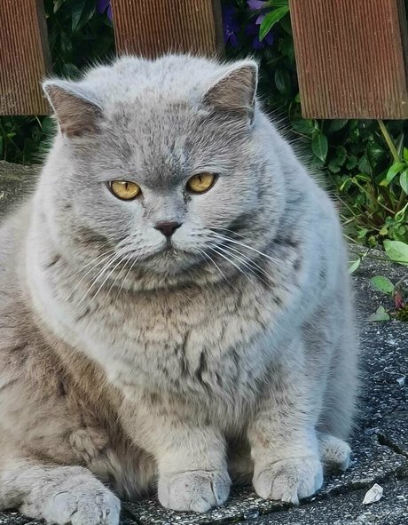 nurse anal onlyfans sexy naked pic