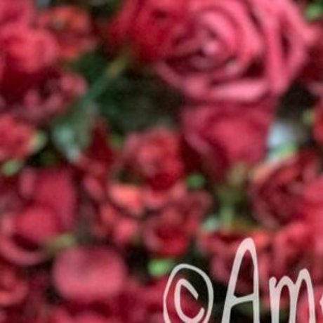 LittleMissSole pornstar free archive