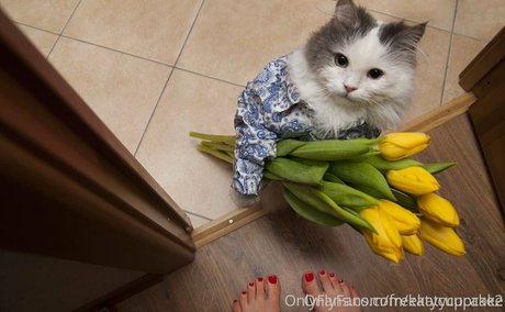 freekatycupcake porn actress images