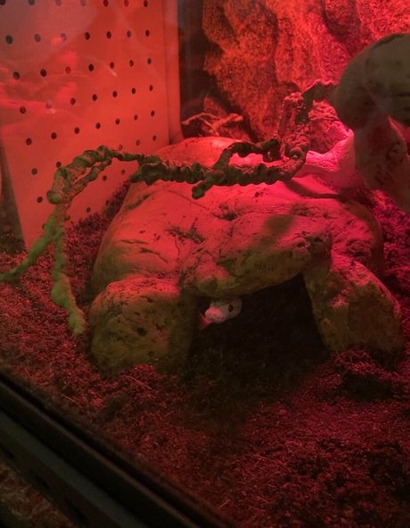 nerdy onlyfans hot archive