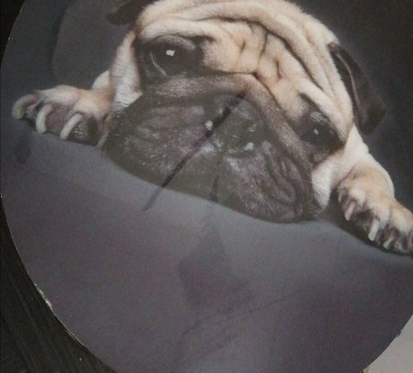 laly911 free model nice photos