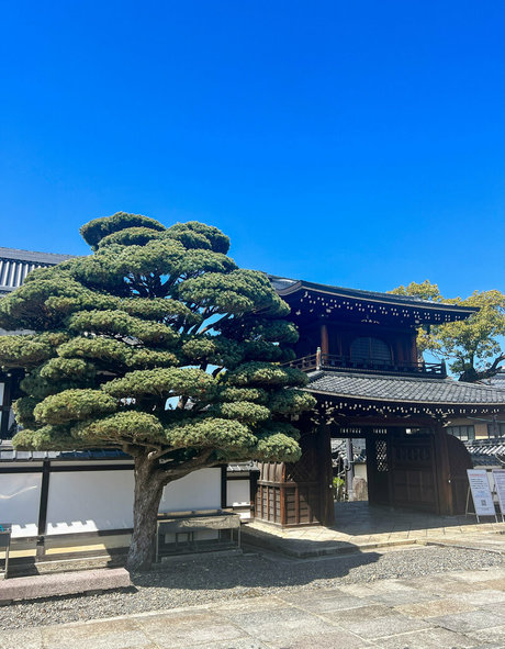 mommy son onlyfans pornographic img