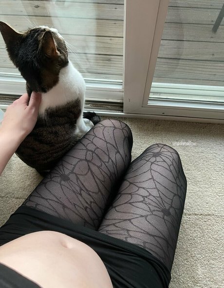 smashmelllow pretty star gallery