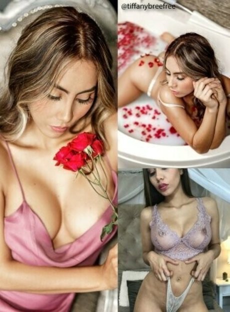 bbw lesbian onlyfans hot xxx pic