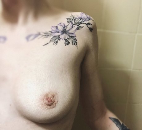 freyastein sexy star galleries