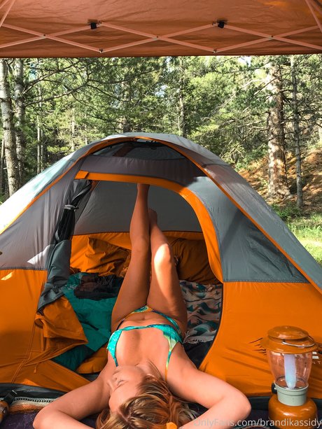 Brandi Kassidy pornstar high quality image