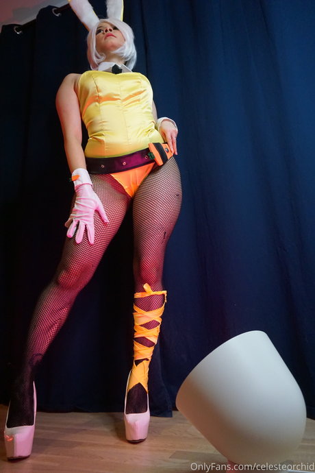 Celeste Orchid nice star photos