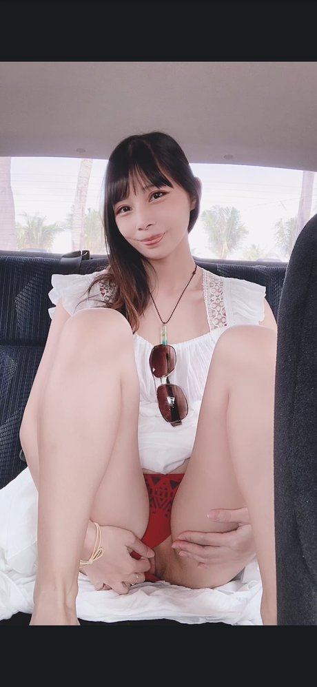 NASI model best archive