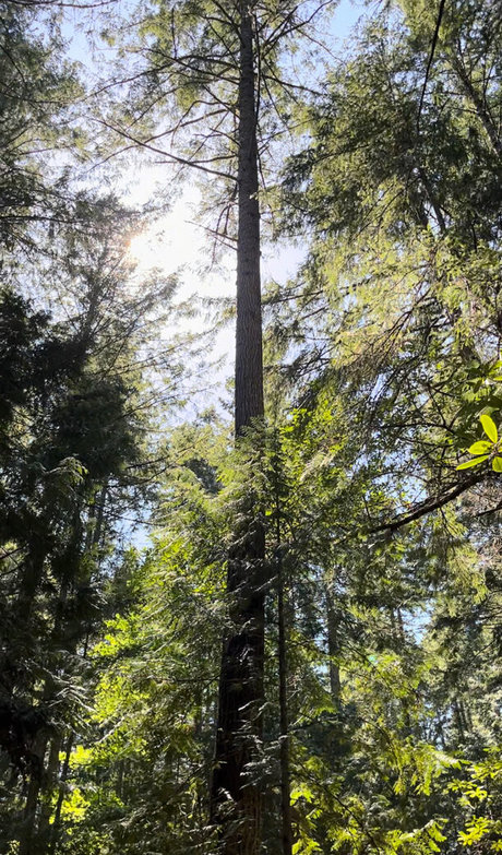 Aelarose Best Profile Photo