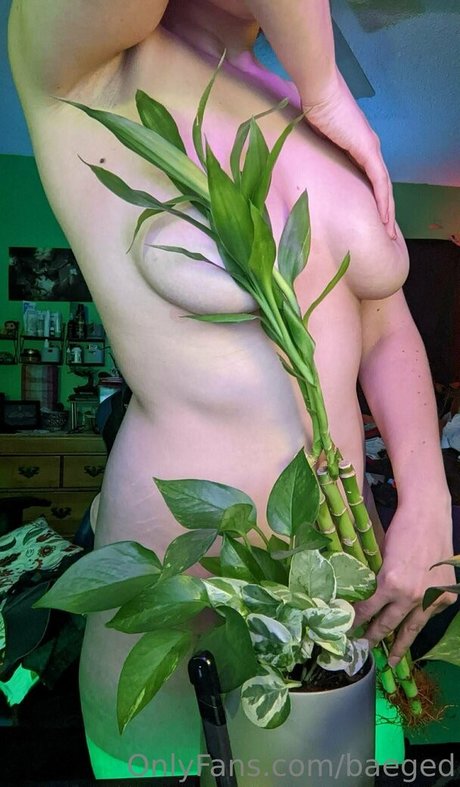 baeged pornographic actress images