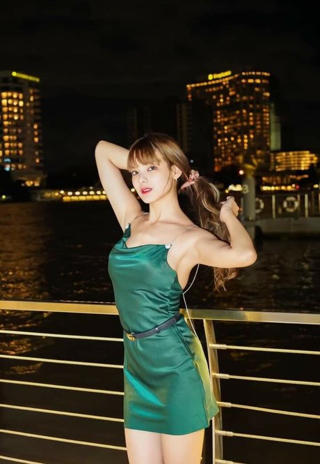 Beeko Pinknavy pornographic actress img