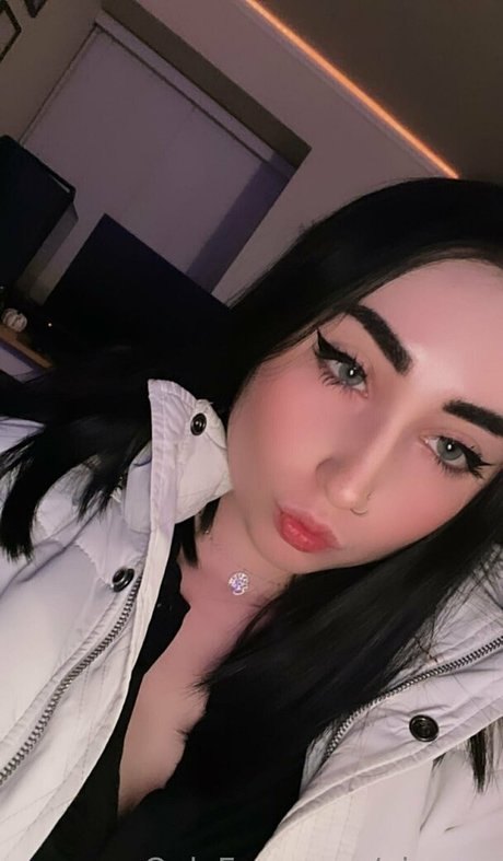 nic x x model archive