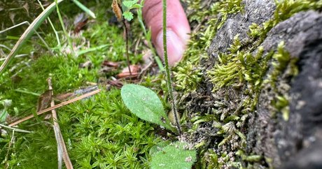 anal videos onlyfans xxx archive