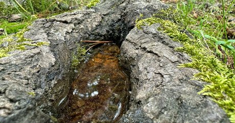 solecirilla porn actress photos