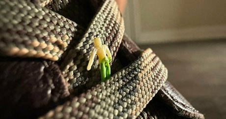 sweet pussy onlyfans hot xxx img