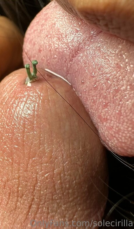 solecirilla model art pics