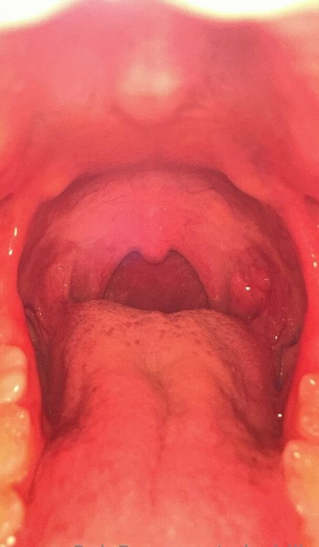 solecirilla perfect actress img