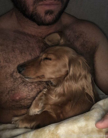 chadwhitexxxfree porn star image