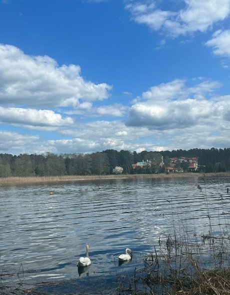 striptease onlyfans hot naked gallery