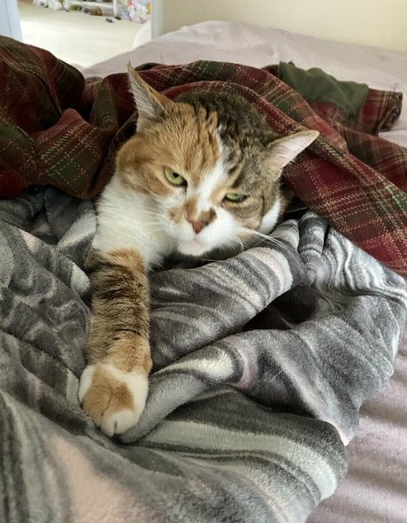 xxx amateur onlyfans hot sex photos