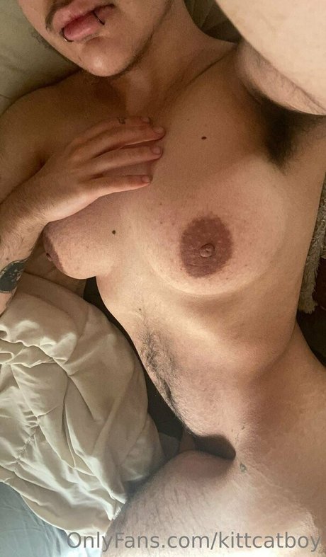 kittcatboy erotic star picture