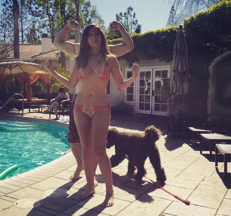 Jamie Amanda Lee porn actress img