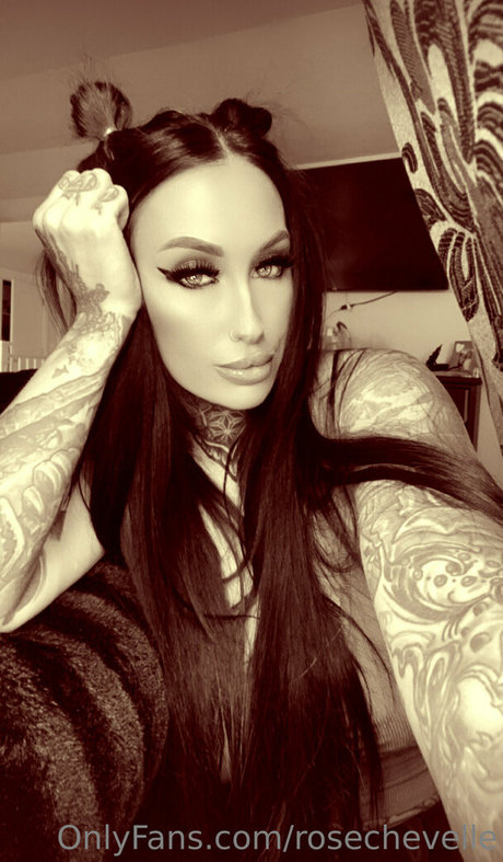 shemale anal onlyfans free porn images