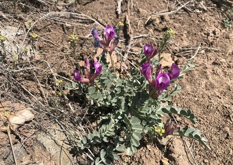 asian femboy onlyfans nice pic