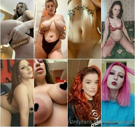 dennyreed star free photo