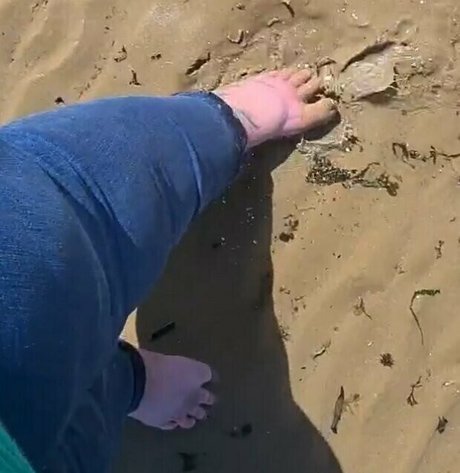 plus size onlyfans beautiful nude pic