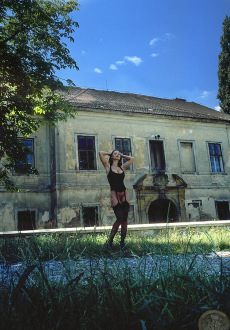 chicks with dicks onlyfans hot picture