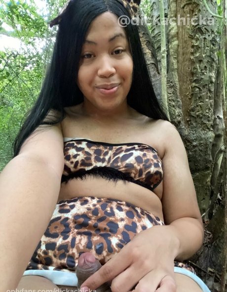 dickachicka pornstar perfect img