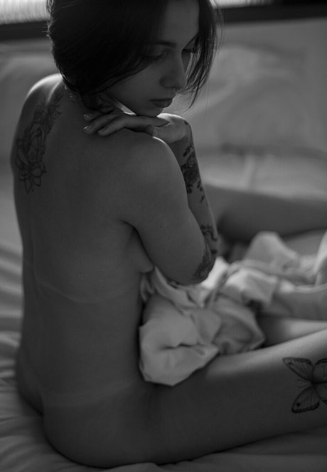 Gatas De Goiania model high quality image