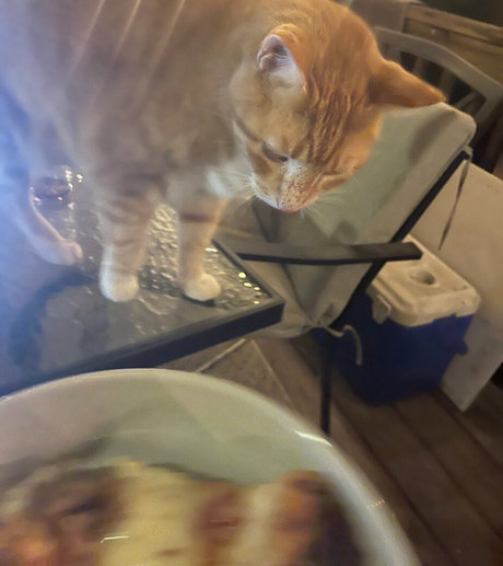 annacarter nyc hot star gallery